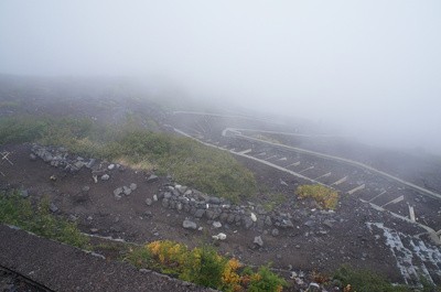 DSC01133.jpg