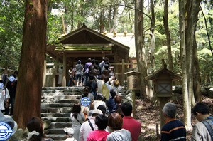 DSC03447.jpg