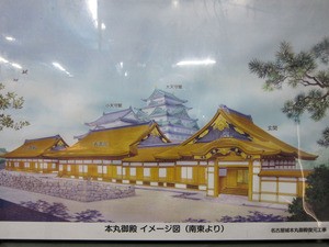 IMG_0537.jpg