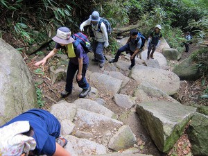 IMG_1401.jpg