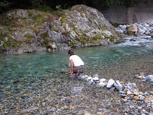 IMG_1669.jpg