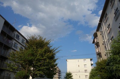 DSC00020.jpg