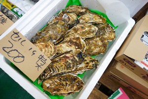 DSC05022.jpg