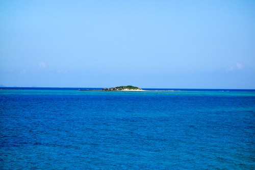 DSC07660.jpg