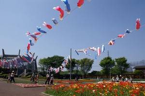 PICT0128.jpg