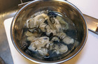 PICT0019.JPG