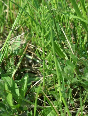 PICT0186.jpg