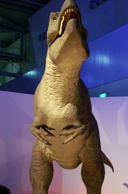 PICT0084.jpg