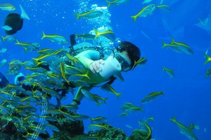 DSC_1124.jpg