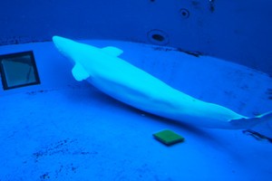 DSC_1127.jpg