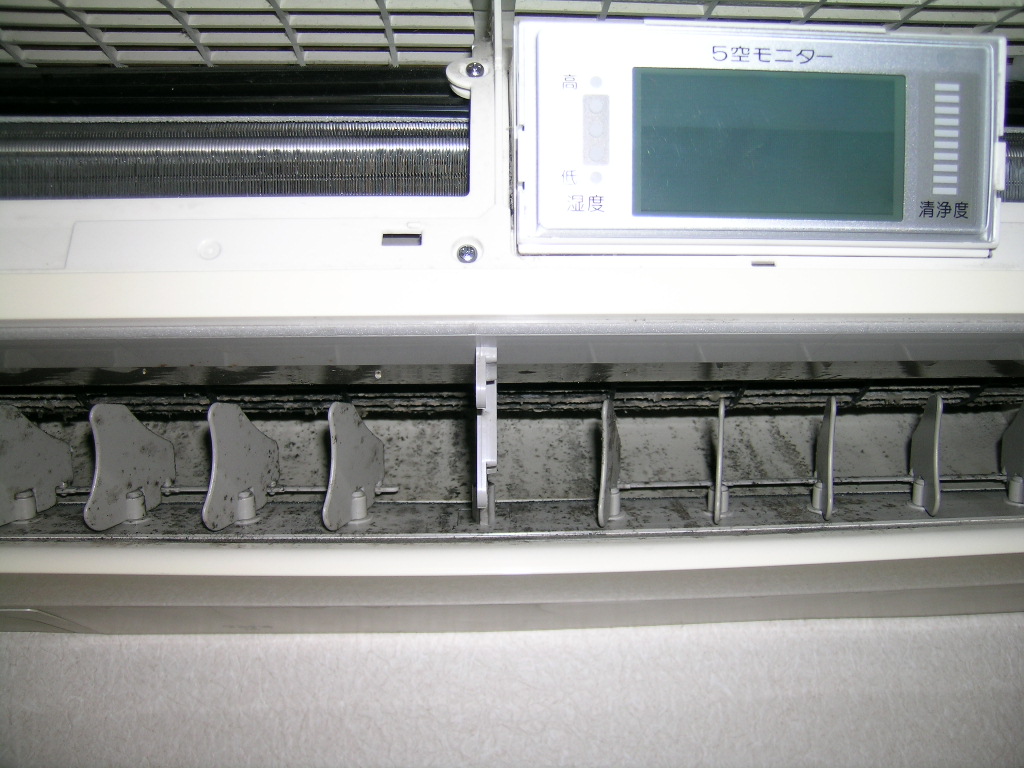 DSCN4448.JPG