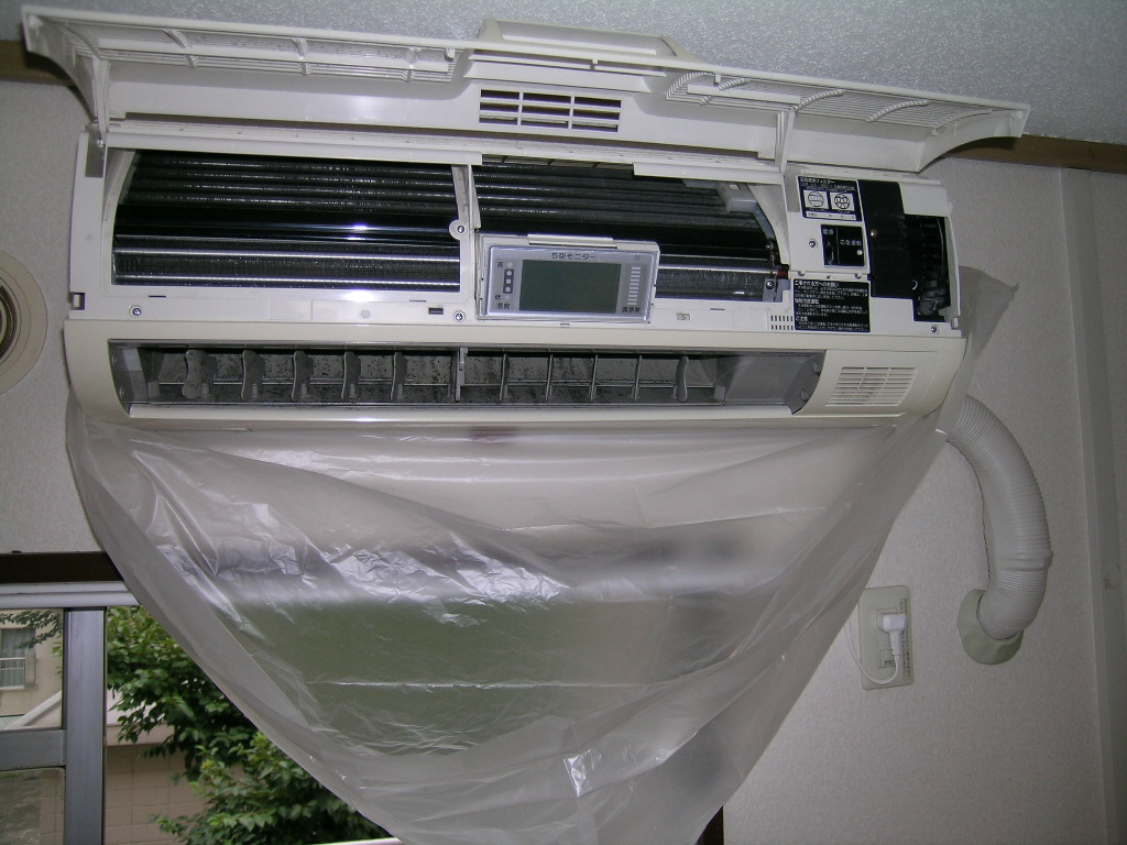 DSCN4449.JPG