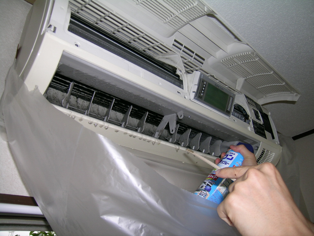 DSCN4451.JPG