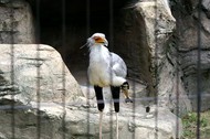 PICT0035.jpg